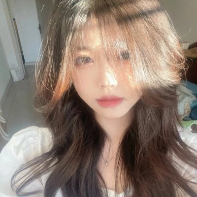 翼龙
